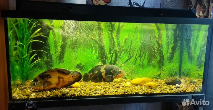 Аквариум с тумбой