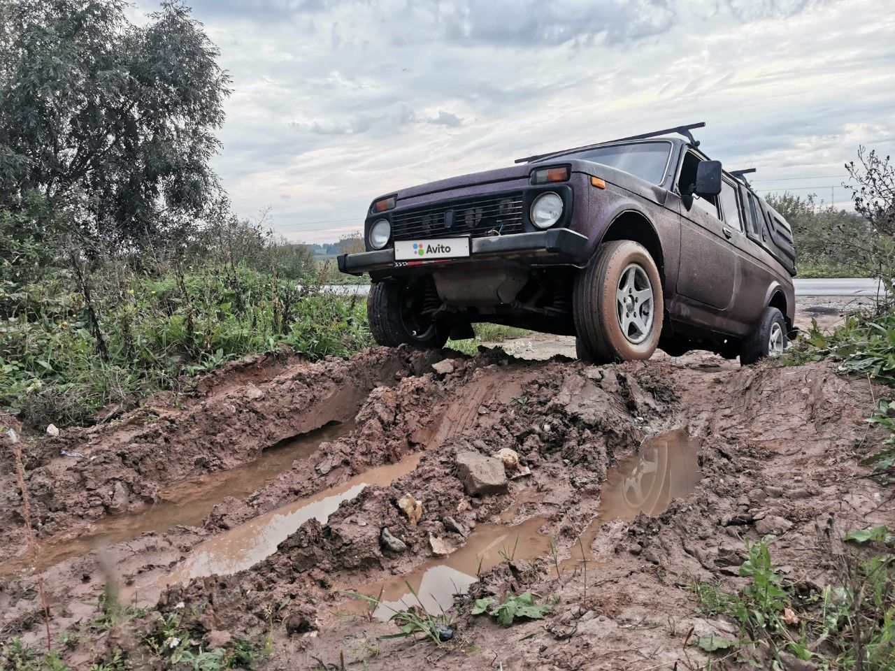 ВАЗ (LADA) 2329: фото владельца