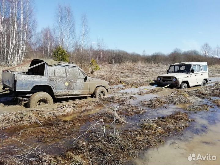 Джиптуры