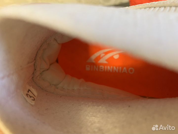 Сороконожки