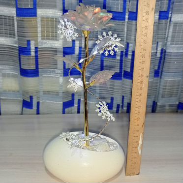 Роза декоративная