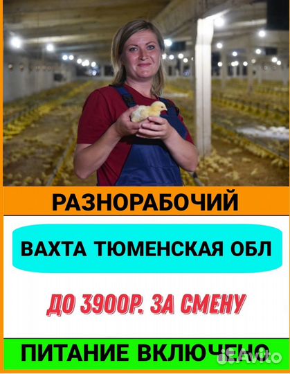 Упаковщик на птицефабрику Вахта