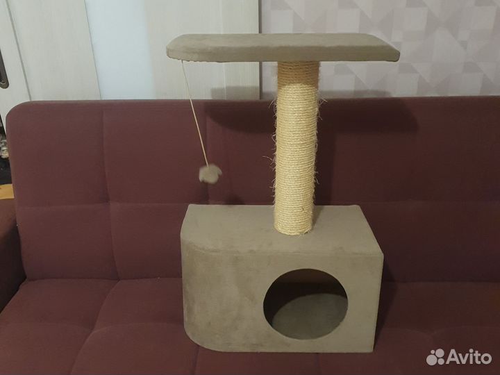 Когтеточка