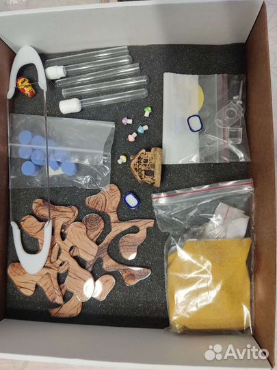 Формикарий с колонией муравьёв