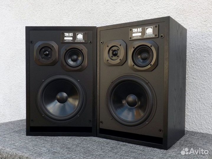 Мониторы Arcus T-85