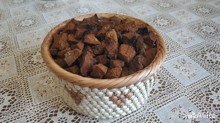 Чага продам