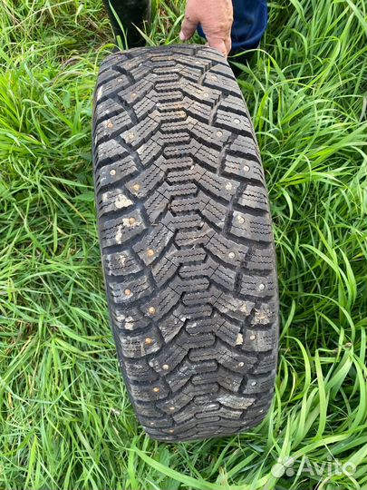 Cordiant Polar 215/65 R16