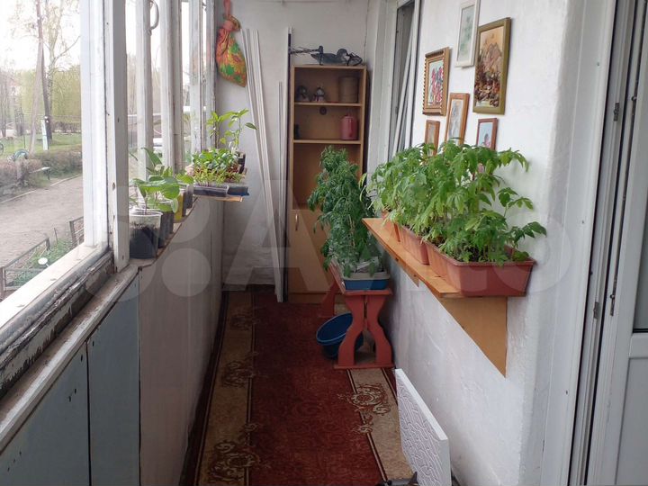 2-к. квартира, 49,2 м², 1/2 эт.