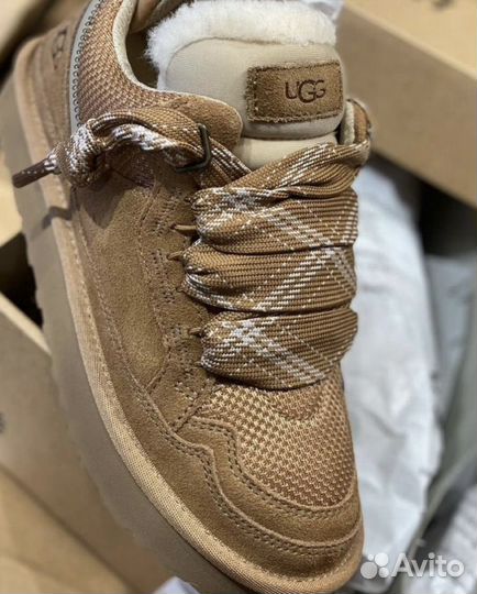 Угги ugg lowmel sneaker