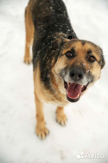 Не пролистывай меня