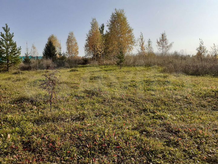 Участок 20,8 сот. (ИЖС)