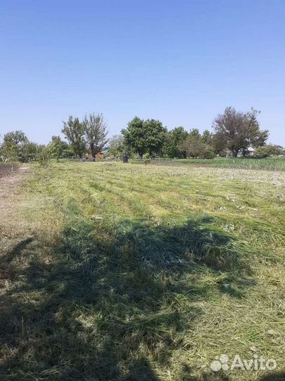 Покос травы, спил деревьев