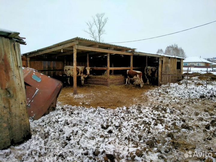 Продукты питания