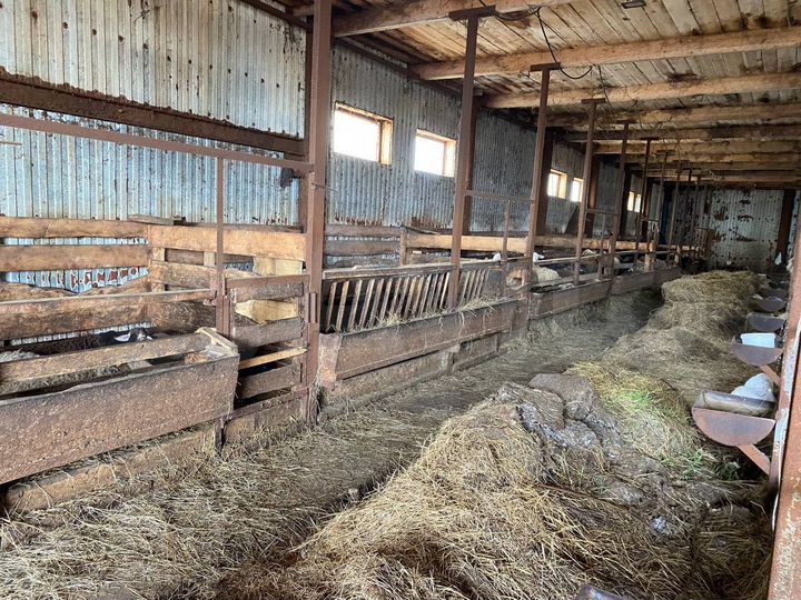 Свободного назначения, 539 м²