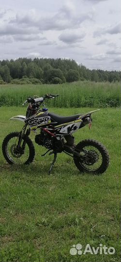 Питбайк Ирбис ttr125r