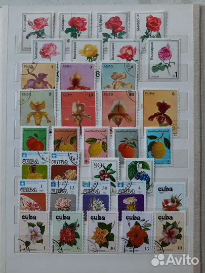 Альбом с марками