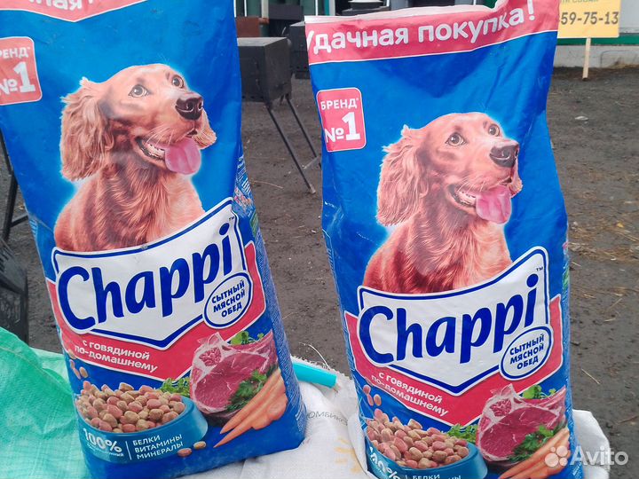 Сухой корм для собак