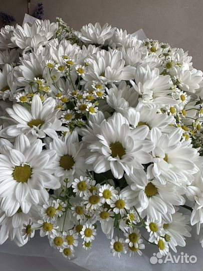 Букет Ромашек