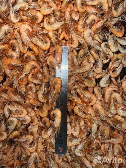 Креветка замороженая, вареная