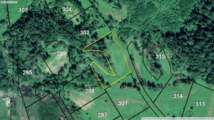 Участок 1,01 га (СНТ, ДНП)