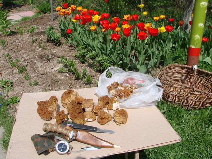 Дом 120 м² на участке 6 сот.