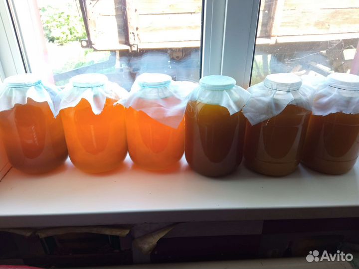 Мëд Алтайский