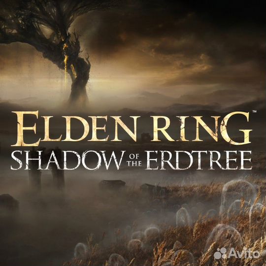 Elden Ring Shadow of The Erdtree PS4 & PS5