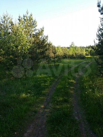 Участок 10 га (СНТ, ДНП)