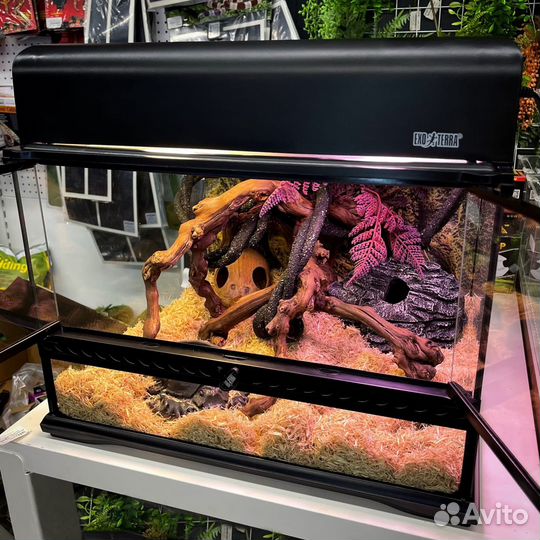 Террариумы для рептилий, амфибий и беспозвоночных