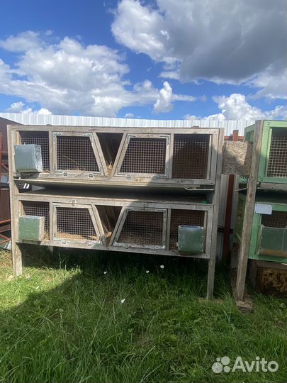 Клетки для кроликов бу