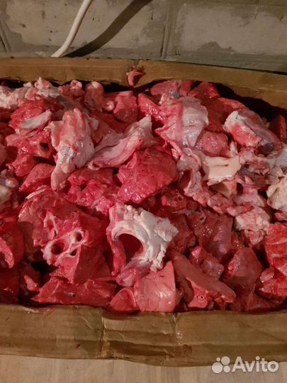 Корм для собак