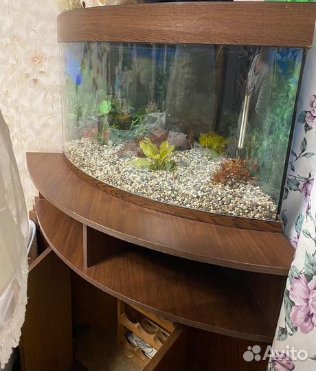 Аквариум угловой с тумбой