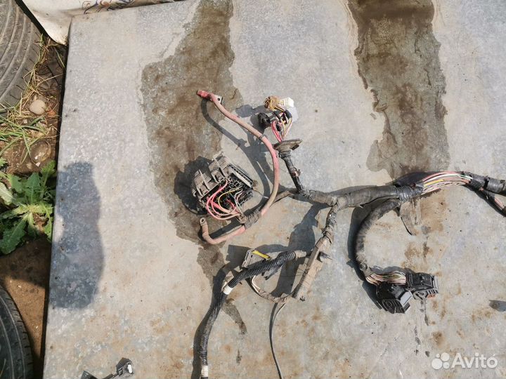 Коса моторная(проводка) Renault Megane III (2008—2