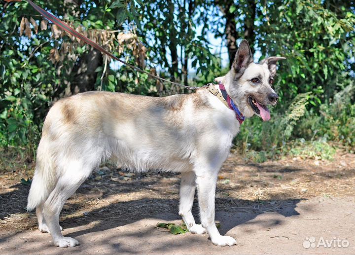 Нежная девочка