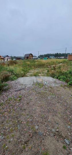 Участок 12 сот. (СНТ, ДНП)