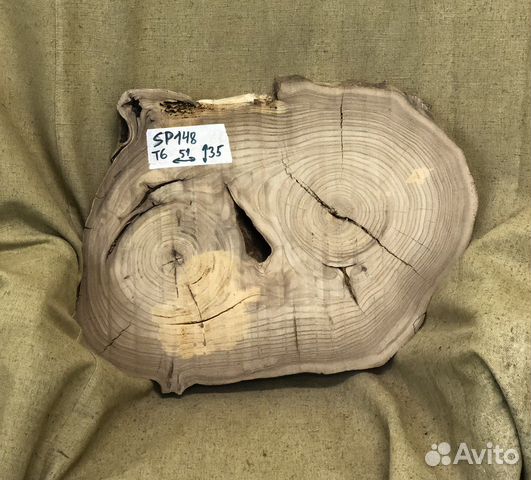 Спил карагача