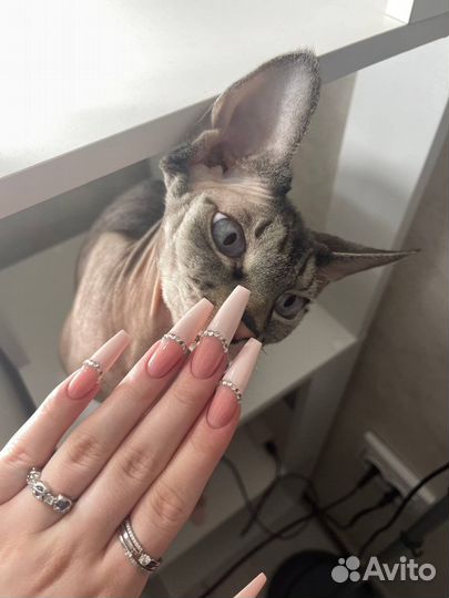 Наращивание ногтей