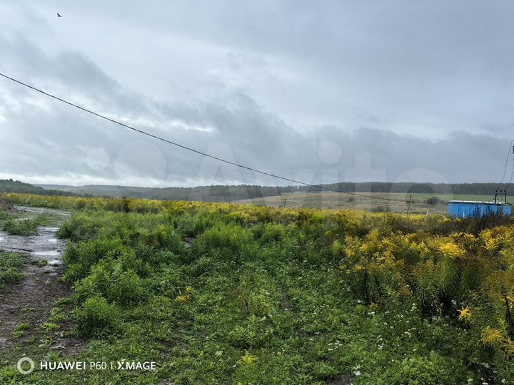 Участок 5,2 га (СНТ, ДНП)