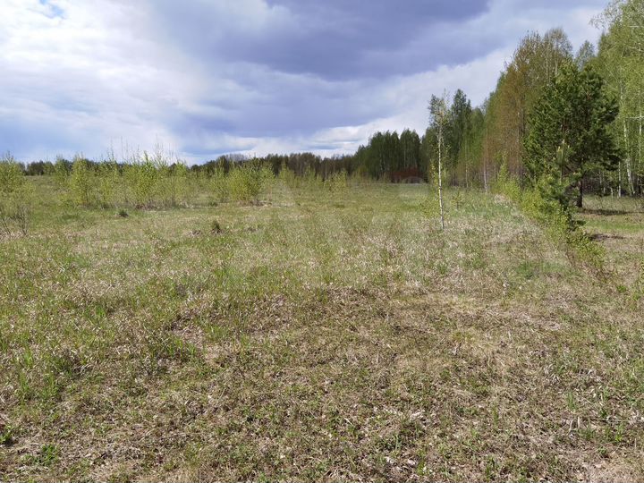 Участок 8 сот. (ИЖС)