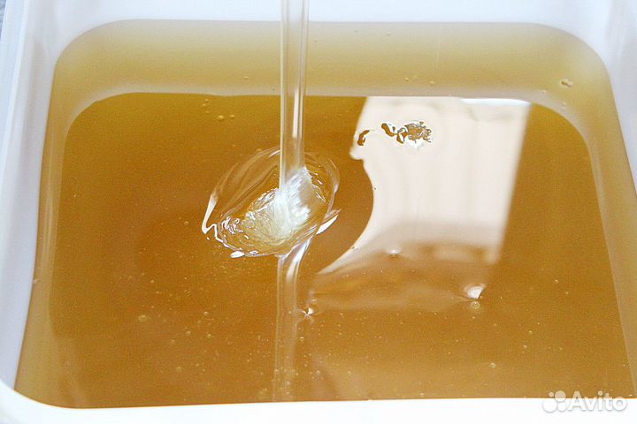 Донниковый мёд оптом Качка 2023 г. Опт