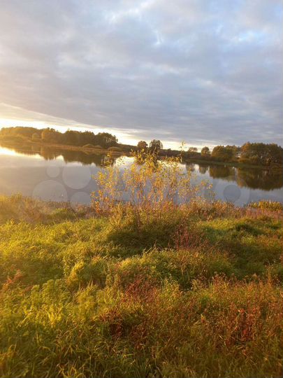 Участок 14,5 сот. (ИЖС)