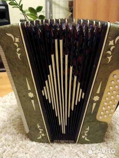 Гармонь Беларусь