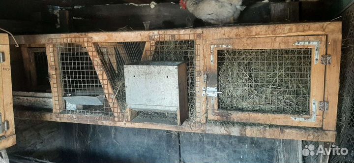 Клетки для кролика