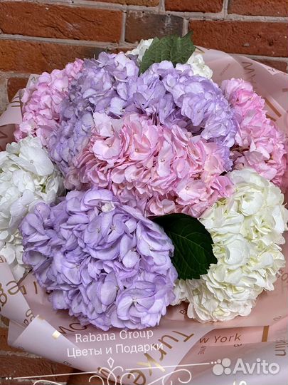 Гортензии с доставкой. Цветы гортензии