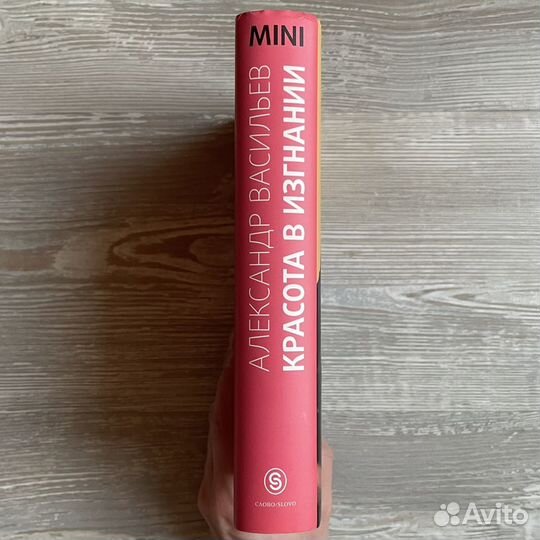 Красота в изгнании Васильев mini