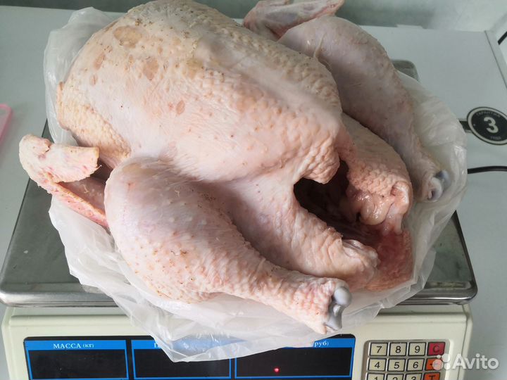 Мясо молодых бройлеров