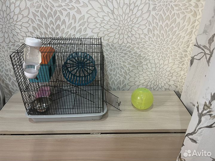 Клетка и шарик для хомяка