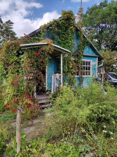 Дача 30 м² на участке 5 сот.