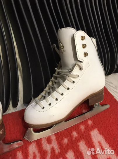 Фигурные коньки jackson 12 c