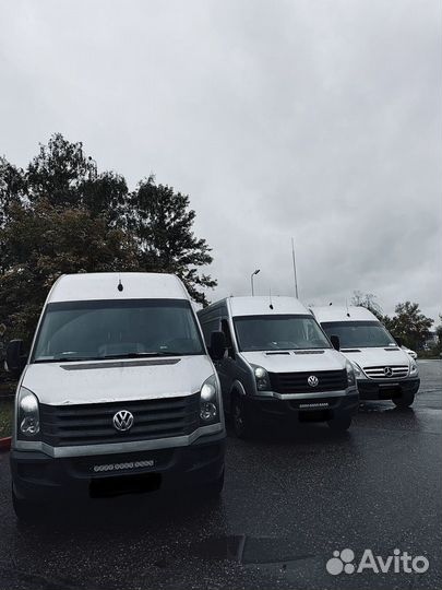 Псков-Санкт-Петербург (попутно), 5 раз в неделю